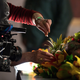 Janice Poon making the final touches in the fruit garnish of her latex Peking Duck Man for Hannibal. (Photo: Brilynn Ferguson)